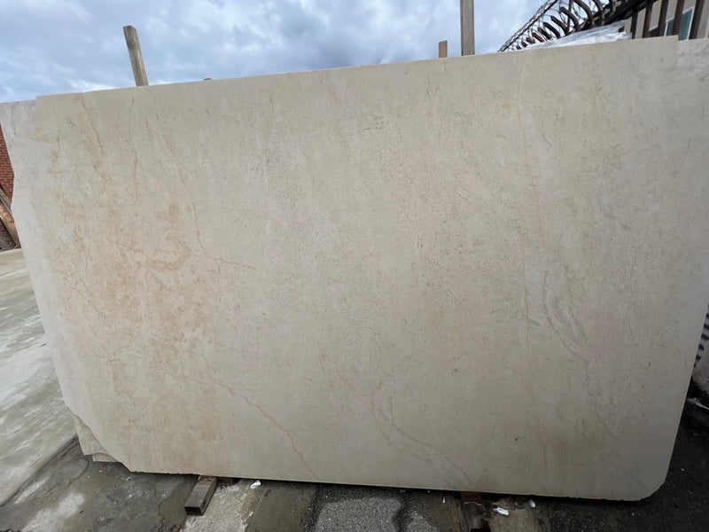 LIMESTONE COQUILLAGE LIMESTONE POLISHED 3/4
